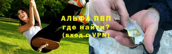 сатива Арсеньев
