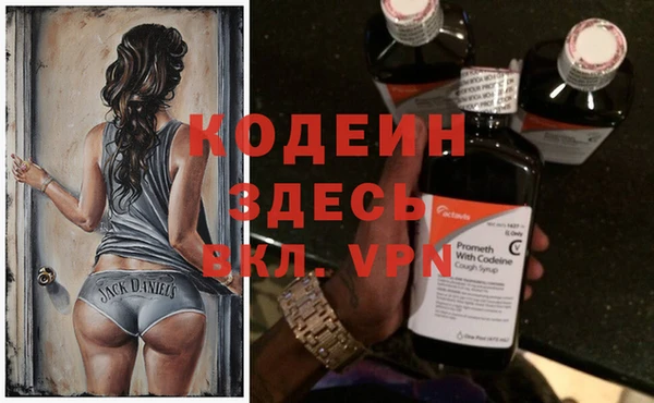 сатива Арсеньев
